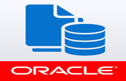Oracle数据库管理工具有哪些?-北京开云官方app下载站公司