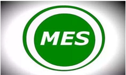 MES系统开发用什么开云官方app下载站？