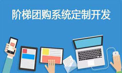 拼购电商系统APP软件定制开发、什么是拼购系统？-北京开云官方app下载站