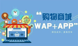 手机商城app开云官方app下载站流程-北京开云官方app下载站外包公司