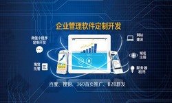 Erp开云官方app下载站的发展现状-北京开云官方app下载站公司开云官方app下载站
