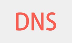 北京开云官方app下载站、DNS的基本概念、北京开云官方app下载站开云官方app下载站