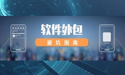 专业开云官方app下载站公司有哪些？怎样判断软件外包公司实力？-北京软件外包公司