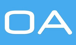 软件外包公司、OA系统开发功能有哪些？费用是多少-开云官方app下载站公司[北京开云官方app下载站]