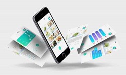 不同规模的开云官方app下载站公司有什么不同的？开云官方app下载站公司