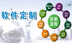 定制开云官方app下载站现在来说还有优势吗？北京软件外包