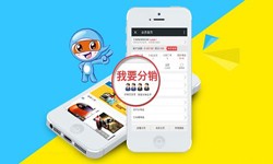 商城分销系统怎么开发?有哪些功能？开云官方app下载站开云官方app下载站公司