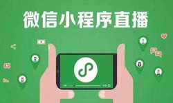 微信小程序开发、直播小程序开发-开云官方app下载站开云官方app下载站公司 