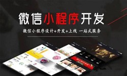 开云官方app下载站公司、定制微信小程序开发，商家需要了解哪些？开云官方app下载站开云官方app下载站