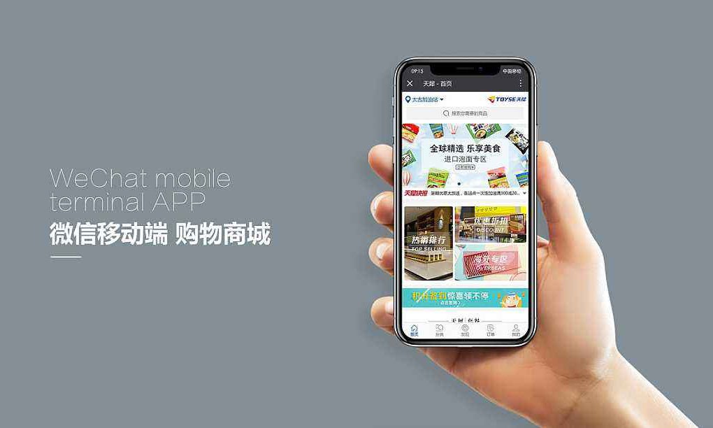 网上商城开云官方app下载站解决方案-北京开云官方app下载站公司