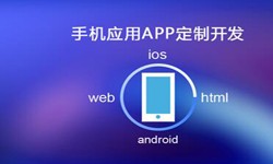 APP开发市场上常见问题分析-北京开云官方app下载站公司